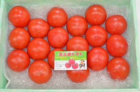 C3富士の恵たっぷりフルーツトマト金太郎トマト1箱（約3㎏）