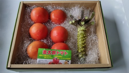 C15小山町の金太郎トマトと生ワサビのセット